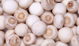 永利蘑菇吃瓜料每日爆料,揭秘娱乐圈最新爆料